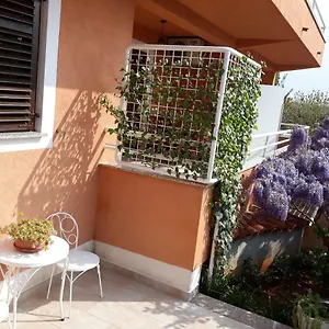 https://apartmani-lina-umag.in-istria.net